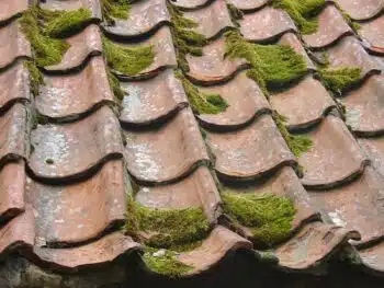 Démoussage de toiture à Bruay-sur-l'Escaut