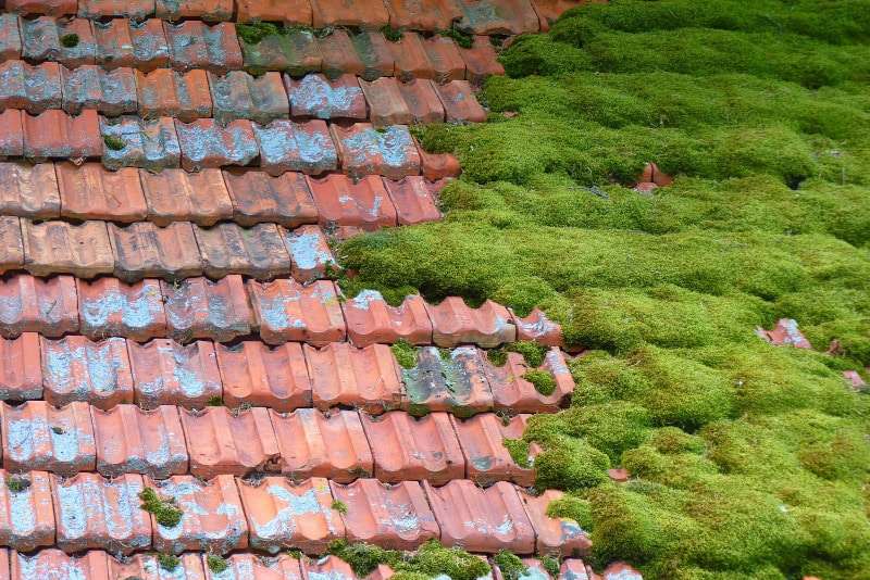 nettoyage et démoussage de toiture à Anzin